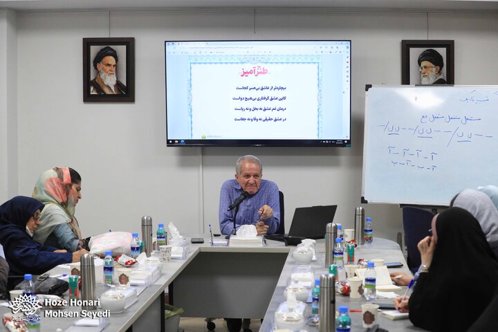  از ظرایف زبانی تا طنز نهفته در غزل‌های مولوی