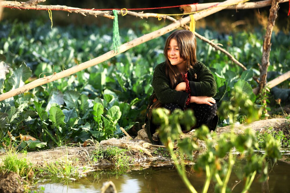 اکران دانشگاهی فیلم سینمایی «ناتوردشت» آغاز شد