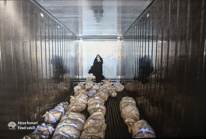 زندگی در جنگ