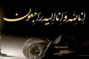 محمدمهدی دادمان شهادت فاطمه میر و سرلشکر یزدان میر را تسلیت گفت