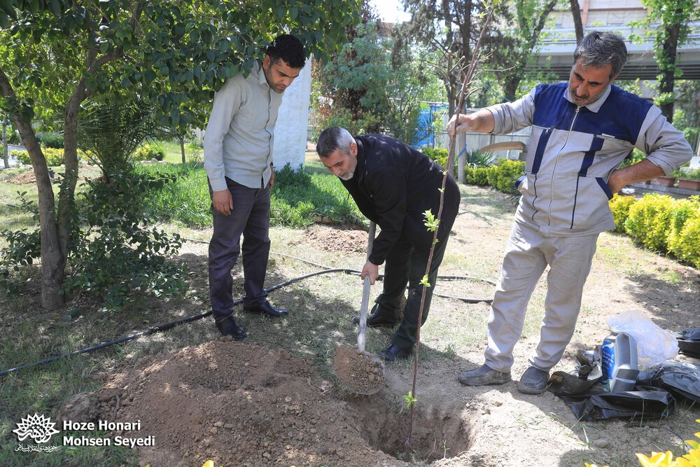 کاشت نهال