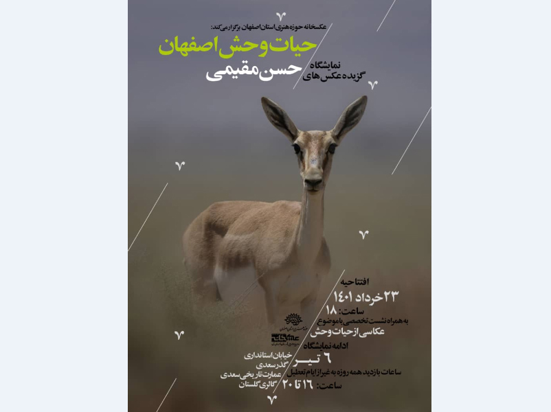 «حیات وحش اصفهان» سوژه نمایشگاه حسن مقیمی شد